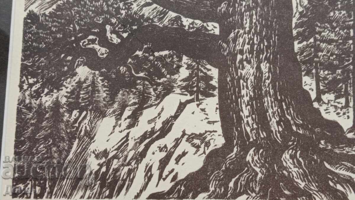 Veselin Staykov engraving 1966 - 7