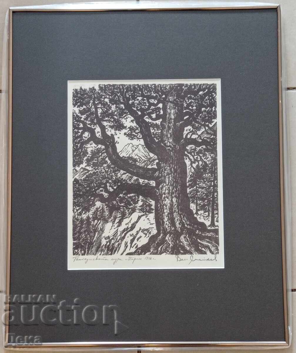 Γραβούρα Βεσελίν Στάικοφ 1966 Γραβούρα Βεσελίν Στάικοφ 1966