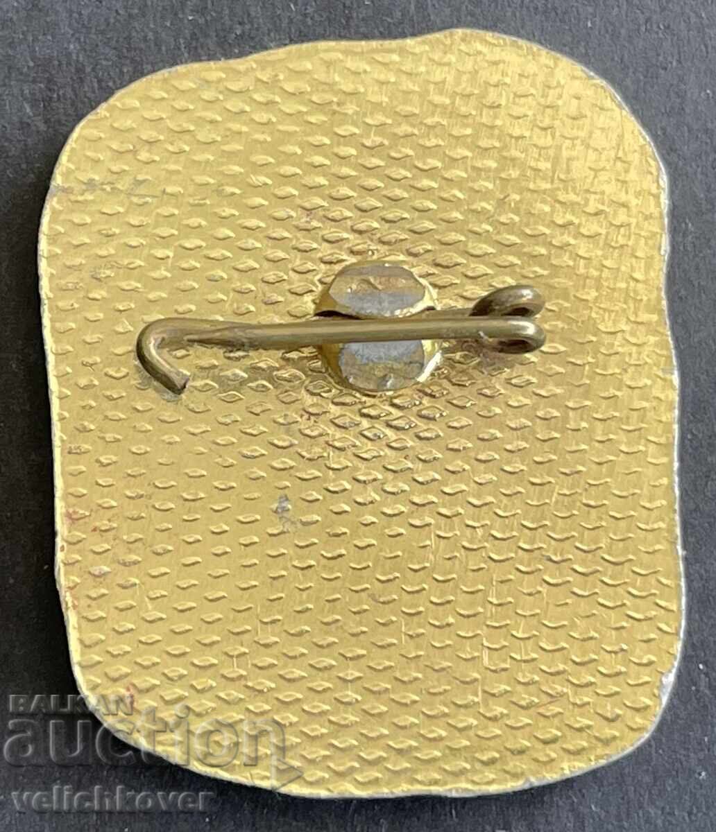 41992 Bulgaria Sign Regional Historical Museum Razgrad with price 4.00 BGN | € 2.05 41992 Bulgaria Sign Regional Historical Museum Razgrad with price 4.00 BGN | € 2.05