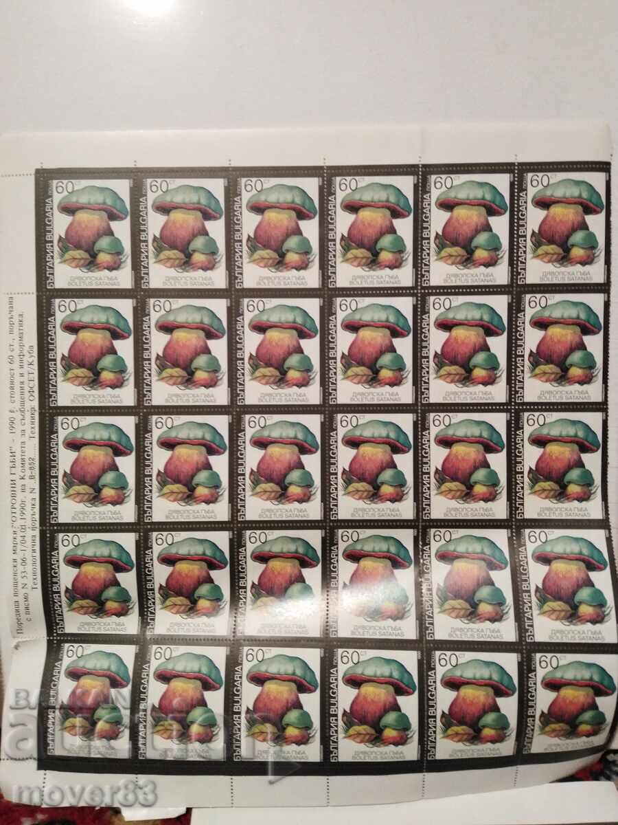 Licitație Timbre "Ciuperci otrăvitoare". Blocuri Licitație Timbre "Ciuperci otrăvitoare". Blocuri