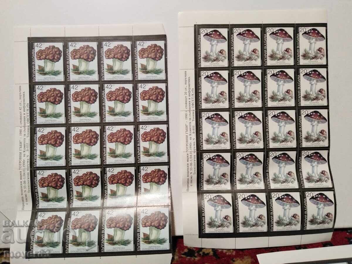 Livrarea Timbre "Ciuperci otrăvitoare". Blocuri Livrarea Timbre "Ciuperci otrăvitoare". Blocuri