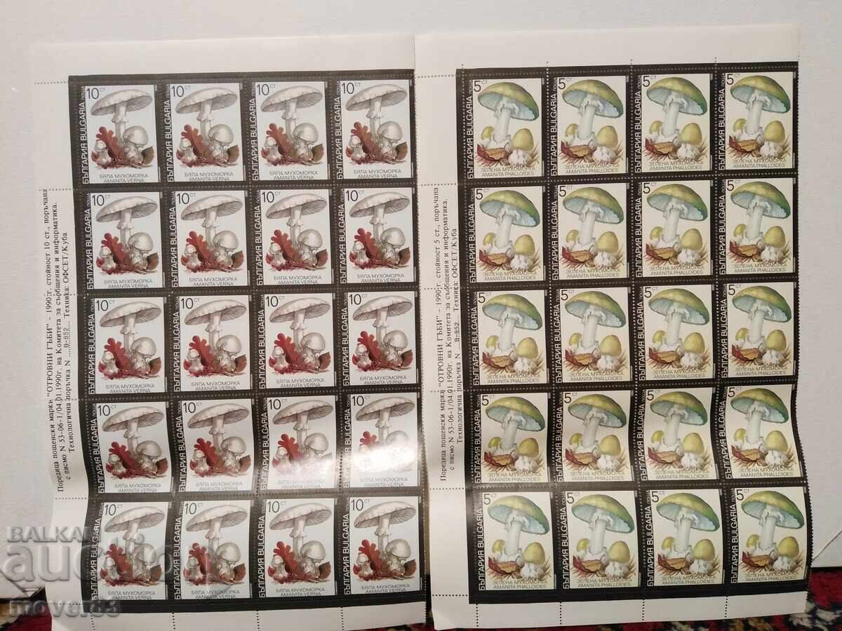 Timbre "Ciuperci otrăvitoare". Blocuri - 5 Timbre "Ciuperci otrăvitoare". Blocuri - 5