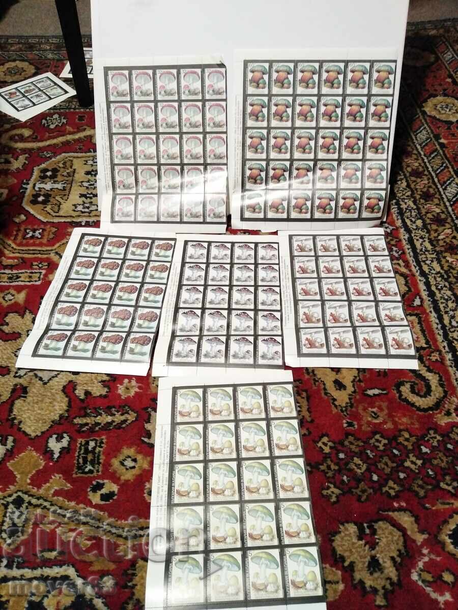 Timbre "Ciuperci otrăvitoare". Blocuri Timbre "Ciuperci otrăvitoare". Blocuri