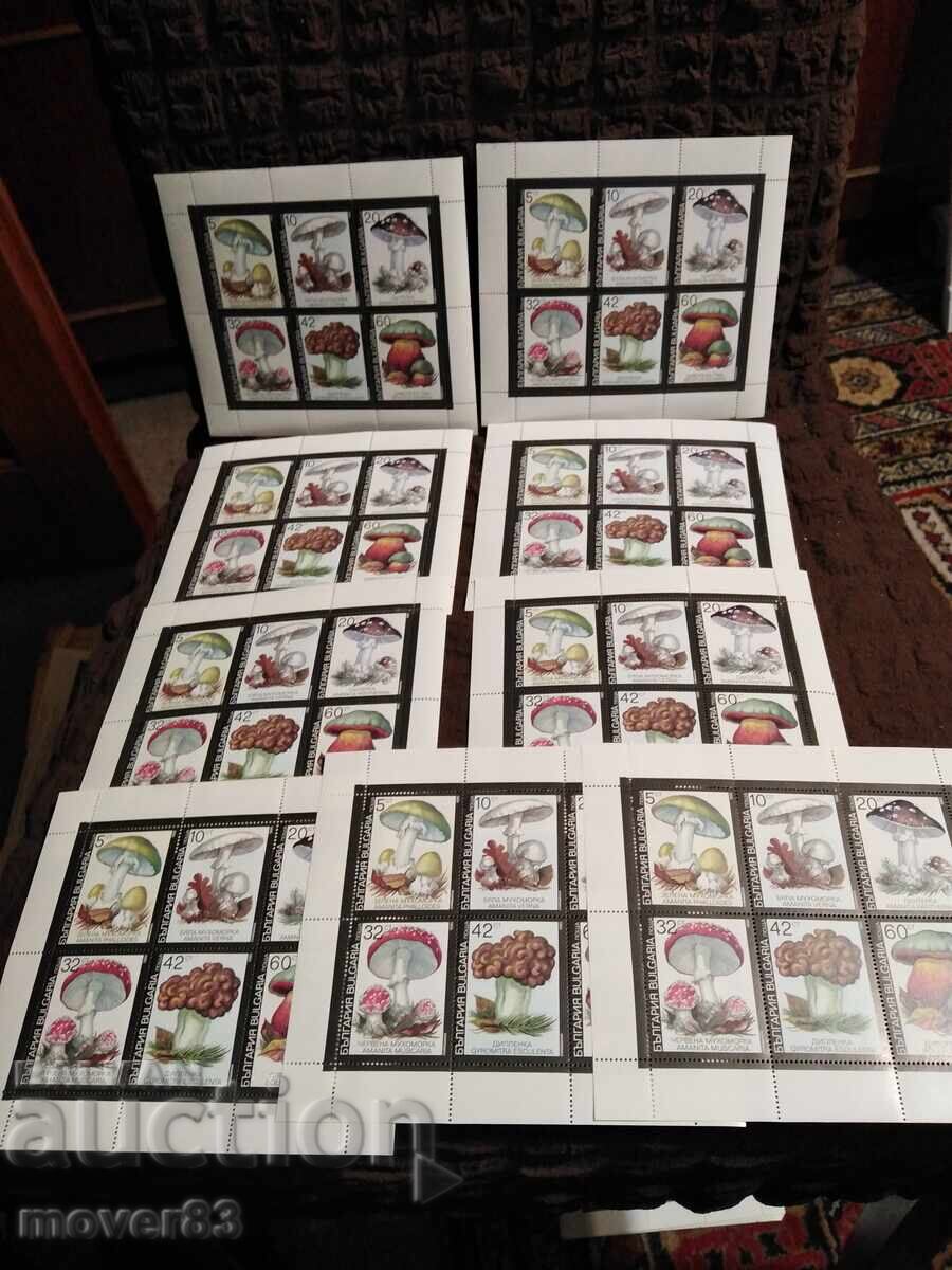 Timbre "Ciuperci otrăvitoare". Blocuri Timbre "Ciuperci otrăvitoare". Blocuri