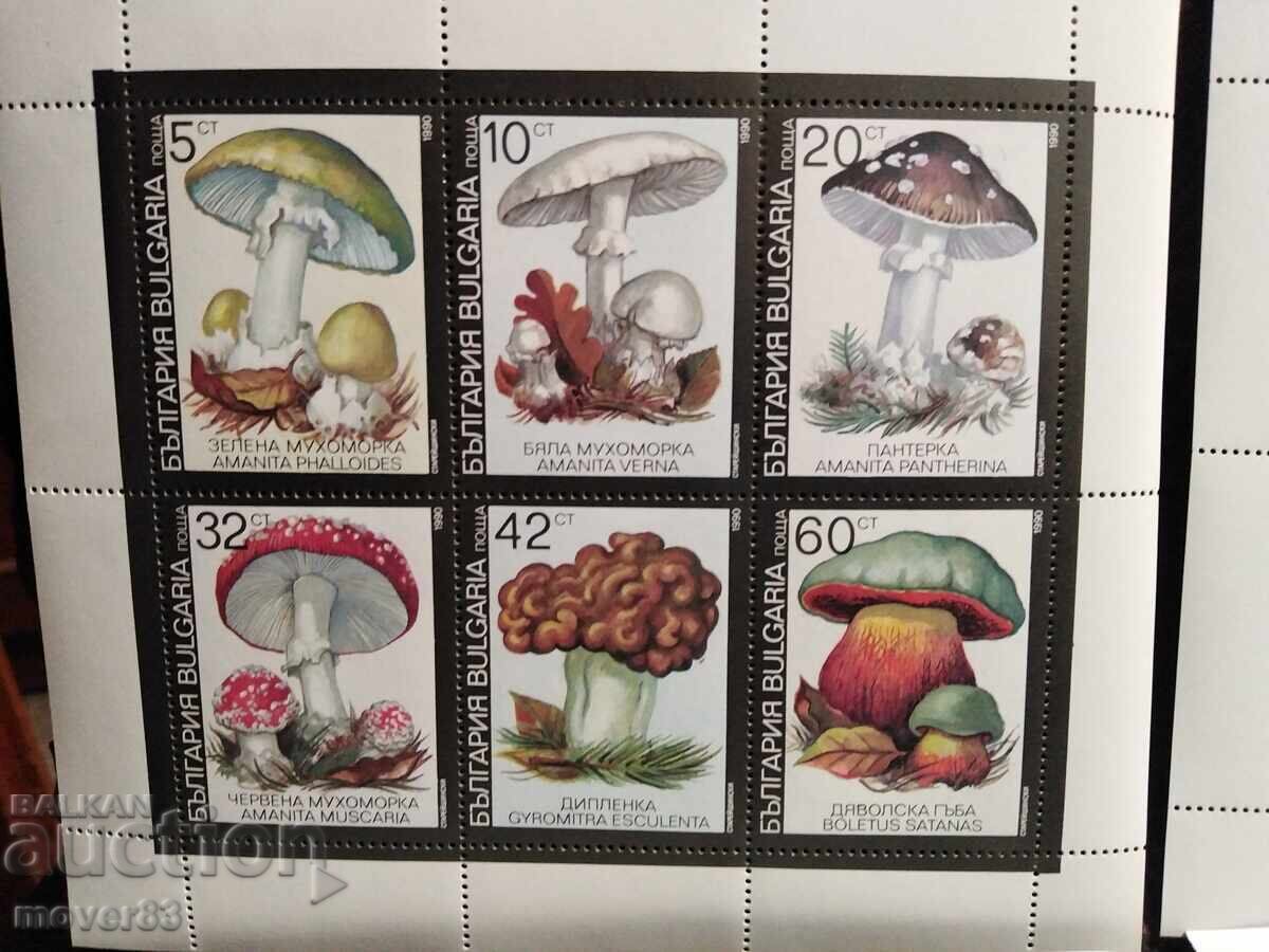 Postage stamps "Poisonous mushrooms". Blocks with price 1.69 BGN | € 0.86 Postage stamps "Poisonous mushrooms". Blocks with price 1.69 BGN | € 0.86
