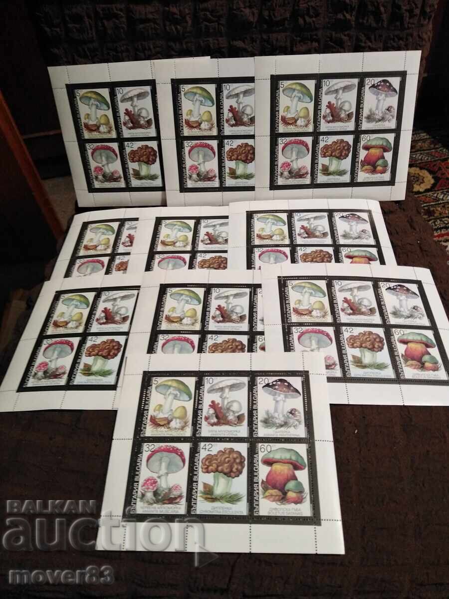 Postage stamps "Poisonous mushrooms". Blocks Postage stamps "Poisonous mushrooms". Blocks