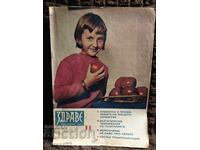 Списание"Здраве". Брой 11/1973+приложение за пионери