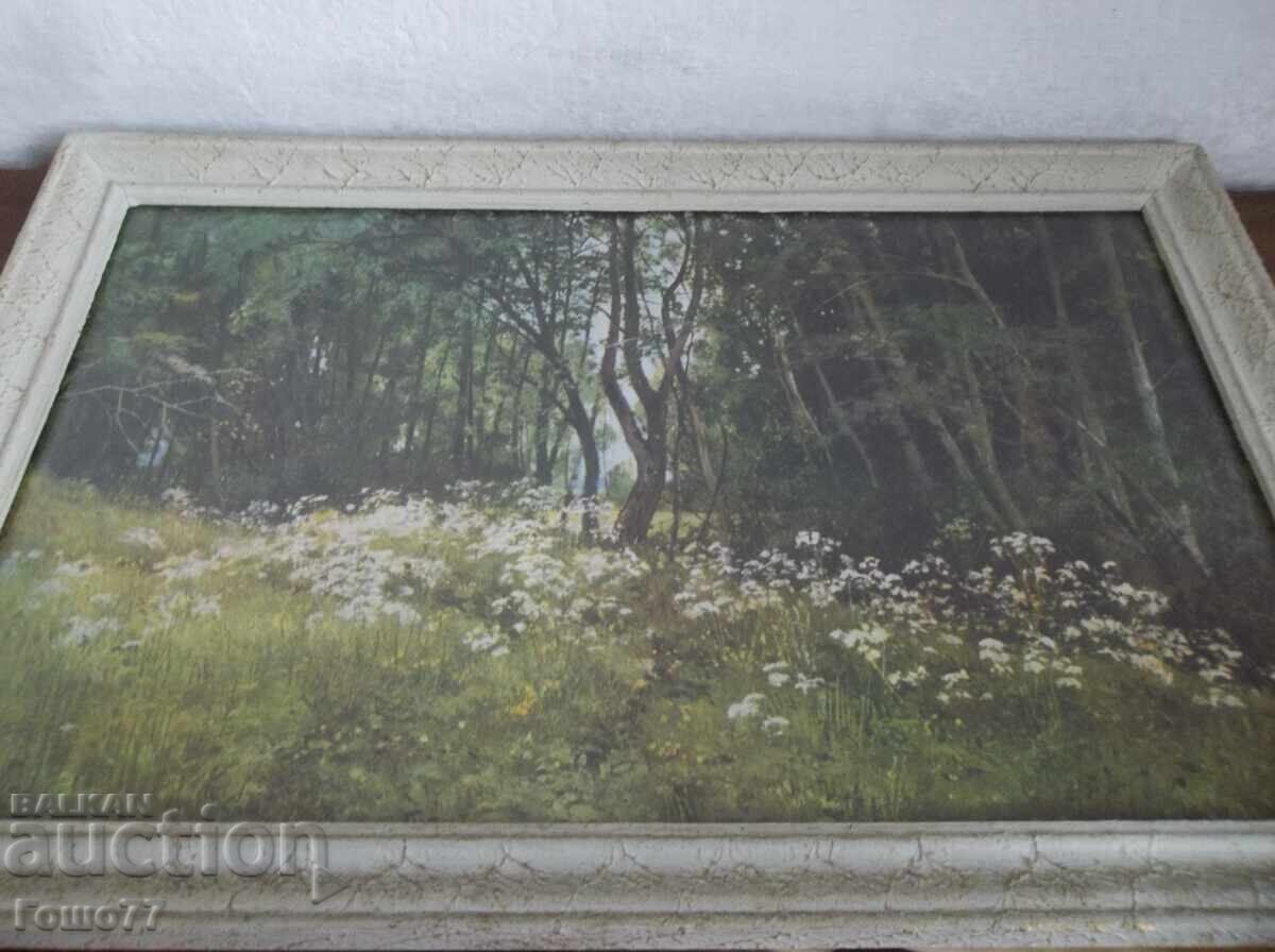 A picture with price 150.00 BGN | € 76.69