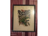 Диво биле-Г.Бандров,1996 год.