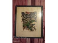 Диво биле-Г.Бандров,1996 год.