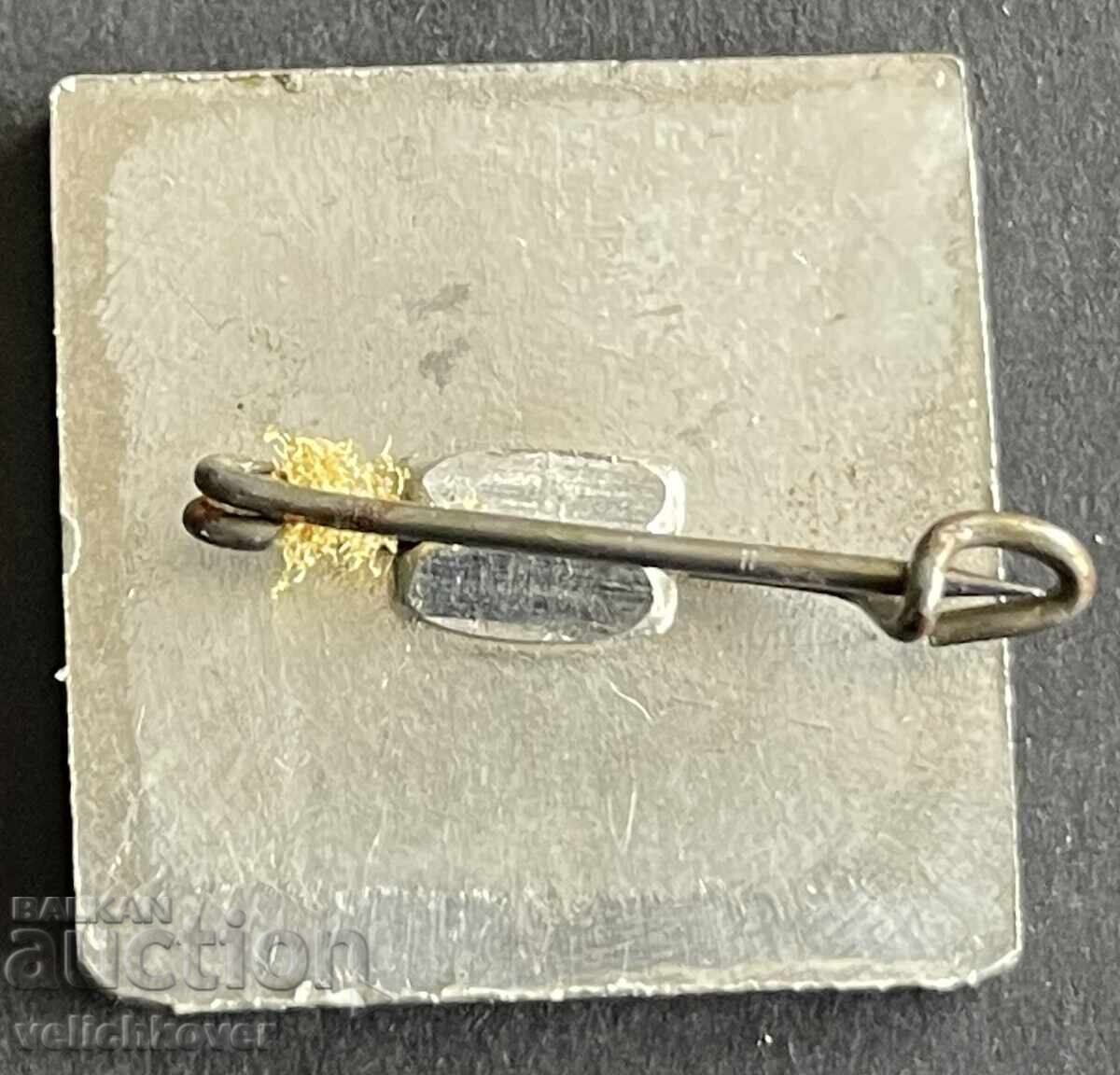 42041 Βουλγαρία τουριστικό σήμα ΒΤΣ Πιρίν χίzha Ντεμιάnica με τιμή 5.00 BGN | € 2.56