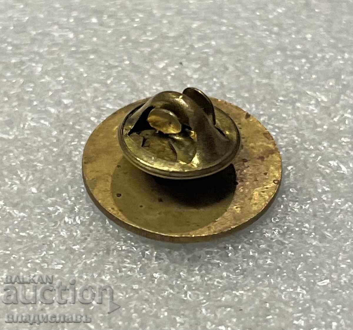 Аукцион рядка Българска Националистическа значка