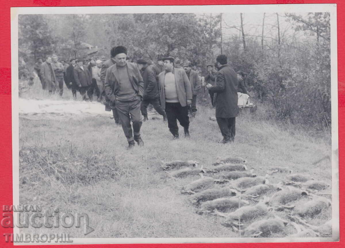 Licitație 220798 / Grupa de vânătoare Todor Jivkov cu iepurii împușcați