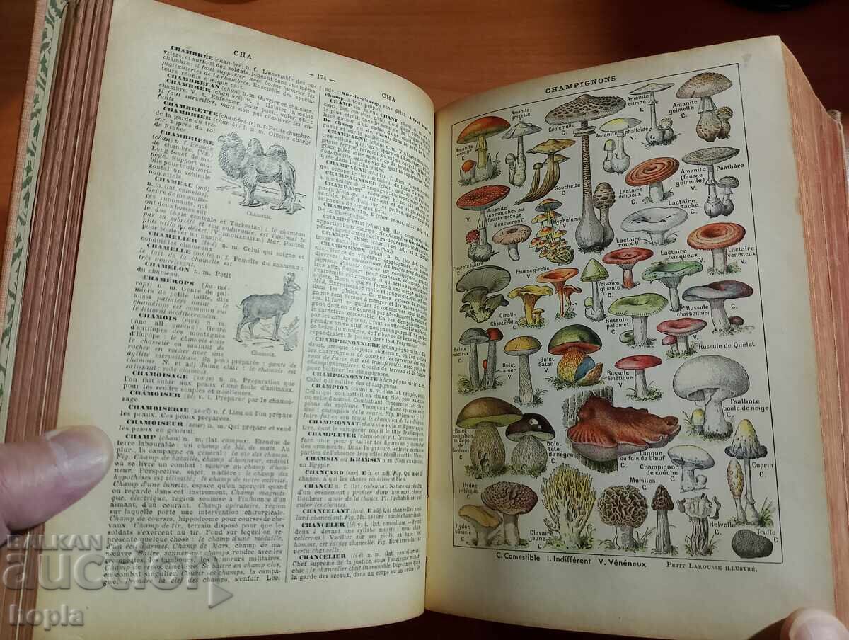 Παράδοση ΕΓΚΥΚΛΟΠΑΙΔΕΙΑ LAROUSSE 1914 g