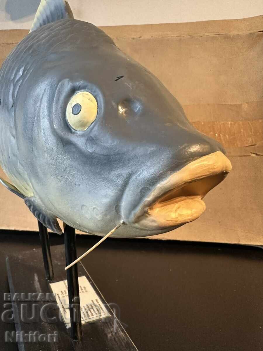 Delivery of Social Educational Anatomical Model of Carp Delivery of Social Educational Anatomical Model of Carp