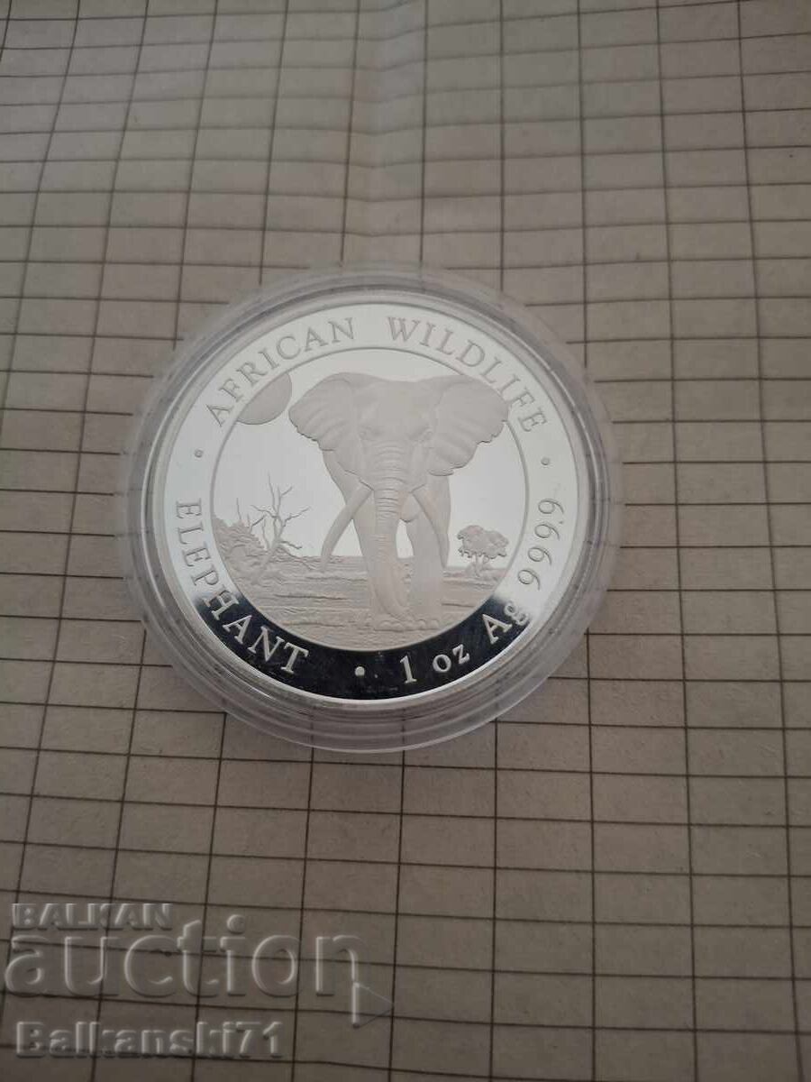 1 oz argint Elefant 2025 Republica Somaleză cu preț 149.00 BGN | € 76.18