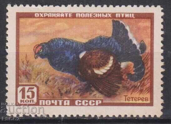 Καθαρό γραμματόσημο Fauna Πτηνά Μαύρος Τσίχλα 1957 από ΕΣΣΔ Καθαρό γραμματόσημο Fauna Πτηνά Μαύρος Τσίχλα 1957 από ΕΣΣΔ