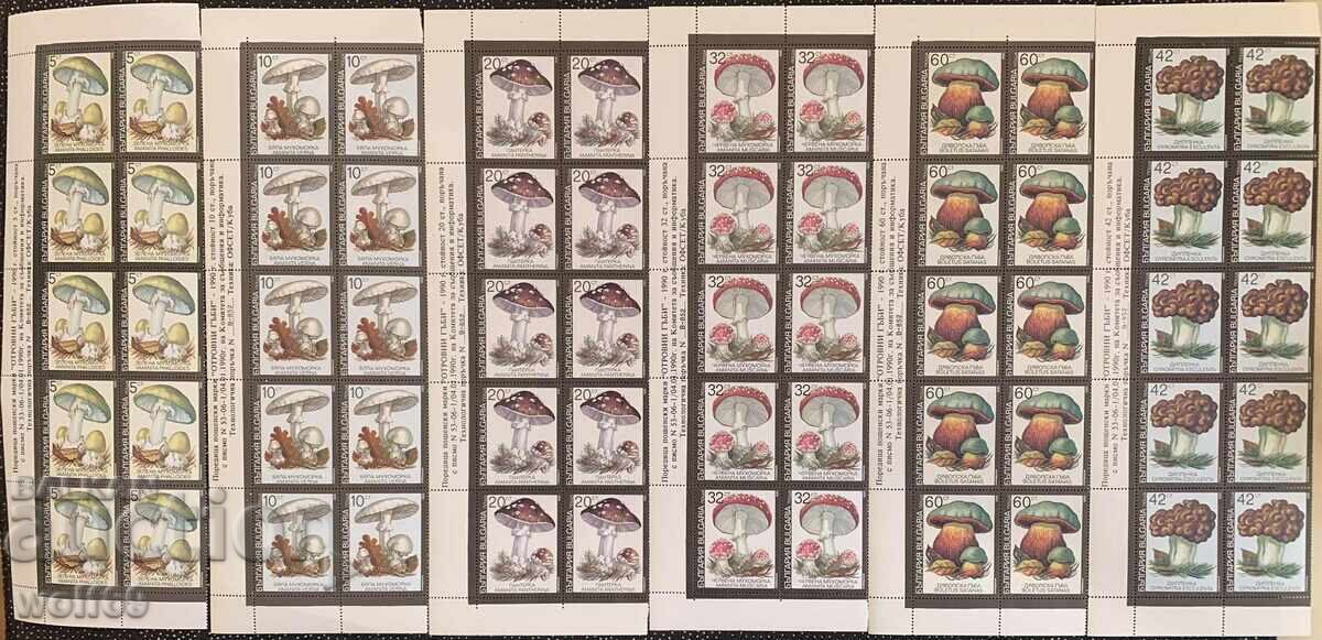 Poisonous Mushrooms - 1991 Poisonous Mushrooms - 1991