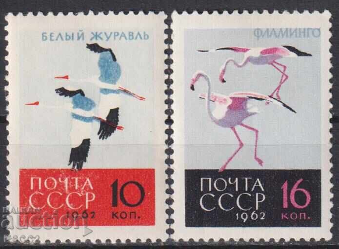 Καθαρές γραμματόσημες Φαύνα Πτηνά Γερανοί Φλαμίνγκο 1962 από ΕΣΣΔ Καθαρές γραμματόσημες Φαύνα Πτηνά Γερανοί Φλαμίνγκο 1962 από ΕΣΣΔ