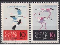 Καθαρές γραμματόσημες Φαύνα Πτηνά Γερανοί Φλαμίνγκο 1962 από ΕΣΣΔ