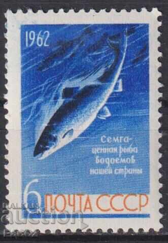 Чиста марка Фауна Риба Сьомга 1962 от СССР Чиста марка Фауна Риба Сьомга 1962 от СССР