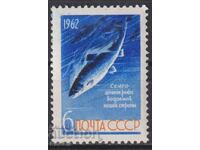 Clean Fauna Salmon Fish 1962 from USSR