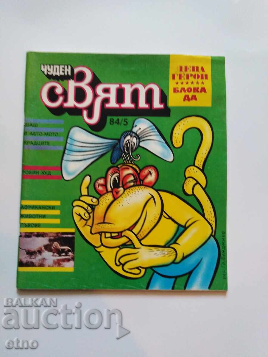 1984 Wonderful World, Comic Book