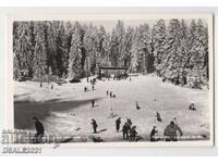 BOROVETS 1950s/60s old postcard /1036