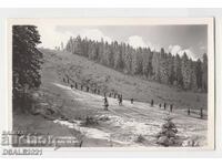 BOROVETS 1950s/60s old postcard /454
