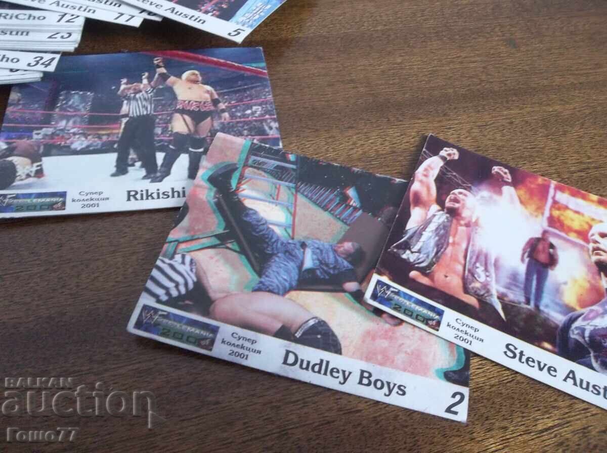 Licitație Hărți Licitație Hărți