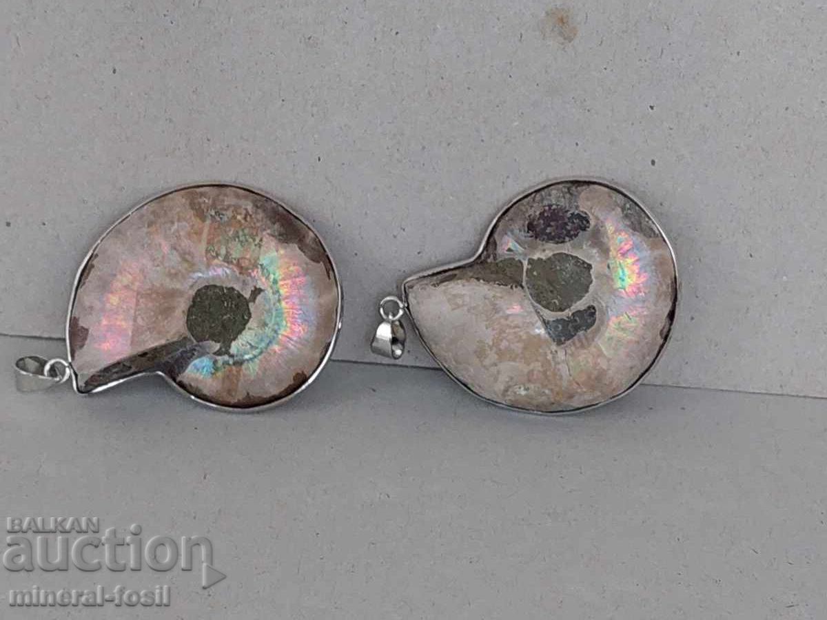 Amoniți în obroc cu preț 70.00 BGN | € 35.79