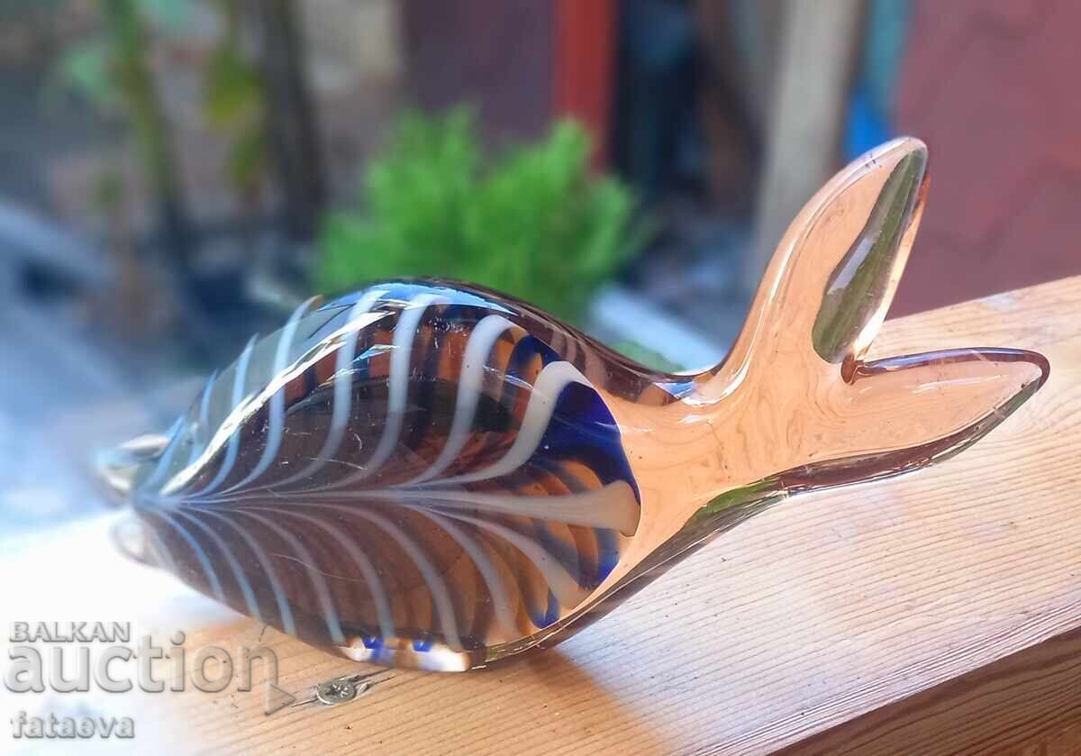 Glass fish, beauty with price 12.99 BGN | € 6.64 Glass fish, beauty with price 12.99 BGN | € 6.64