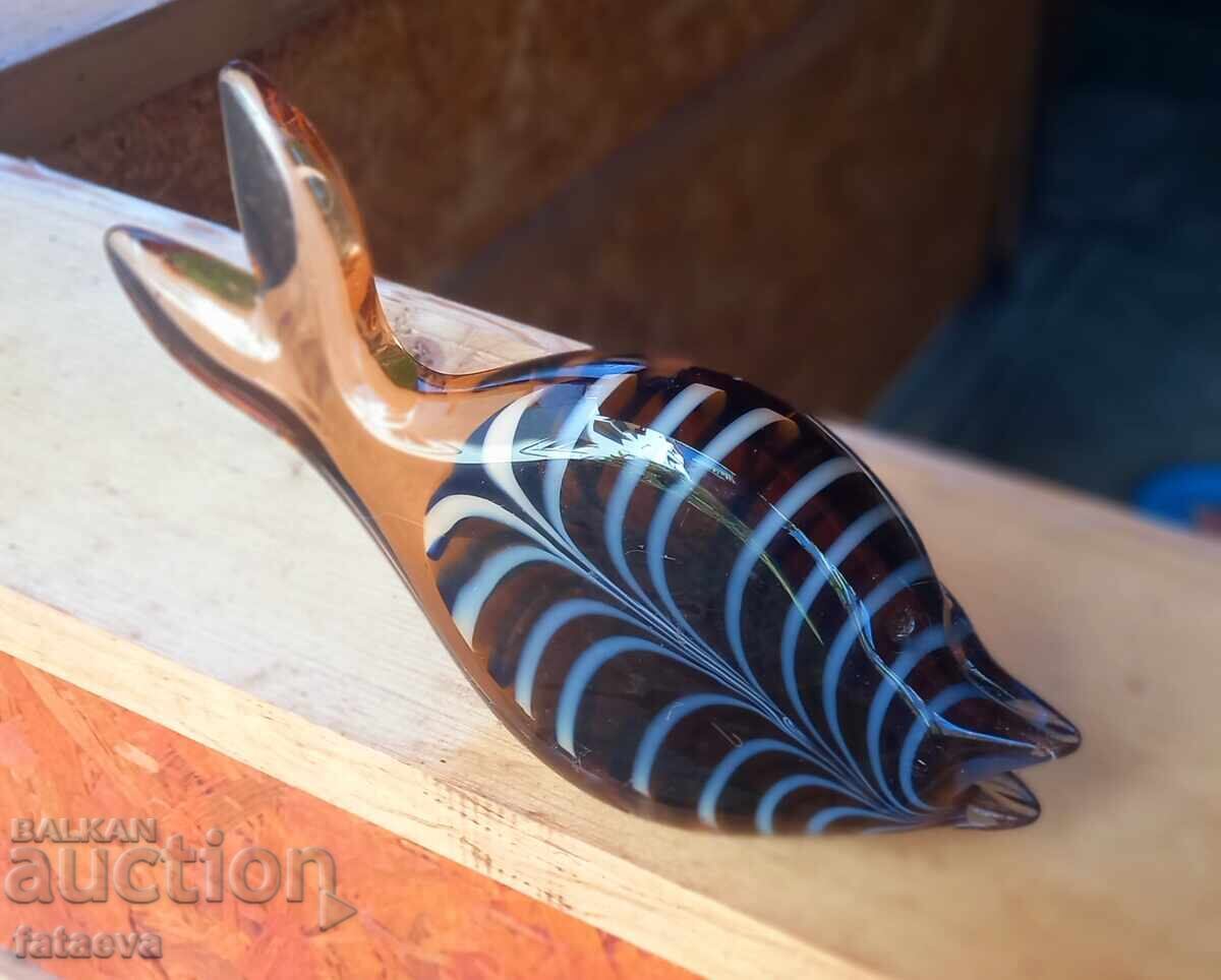 Auction Glass fish, beauty Auction Glass fish, beauty
