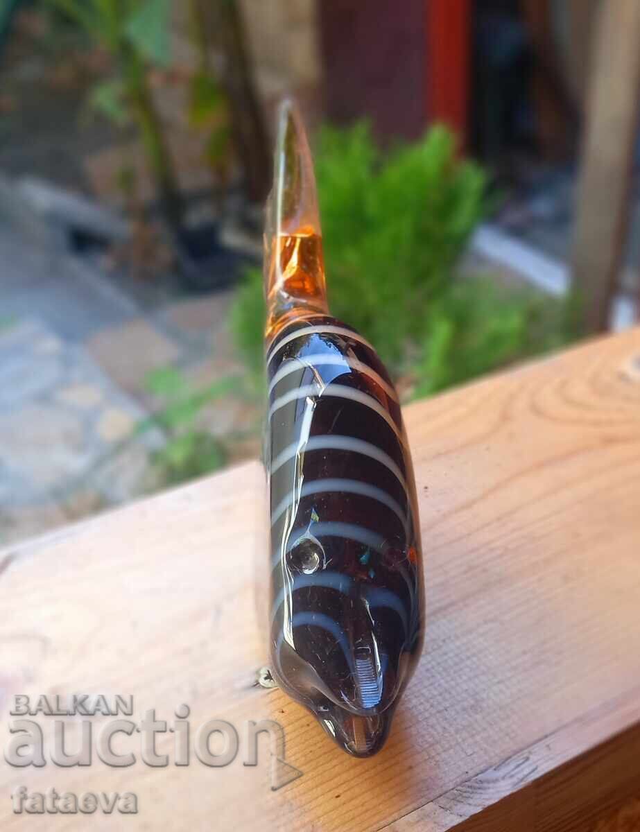 Delivery of Glass fish, beauty Delivery of Glass fish, beauty