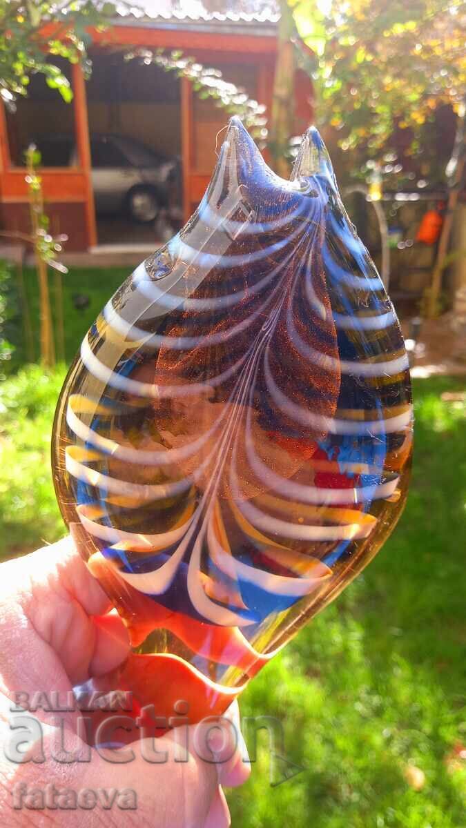 Glass fish, beauty - 7 Glass fish, beauty - 7