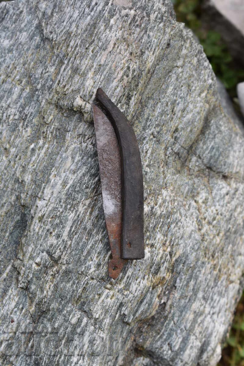 Доставка на Ножче сойка,костур,рог