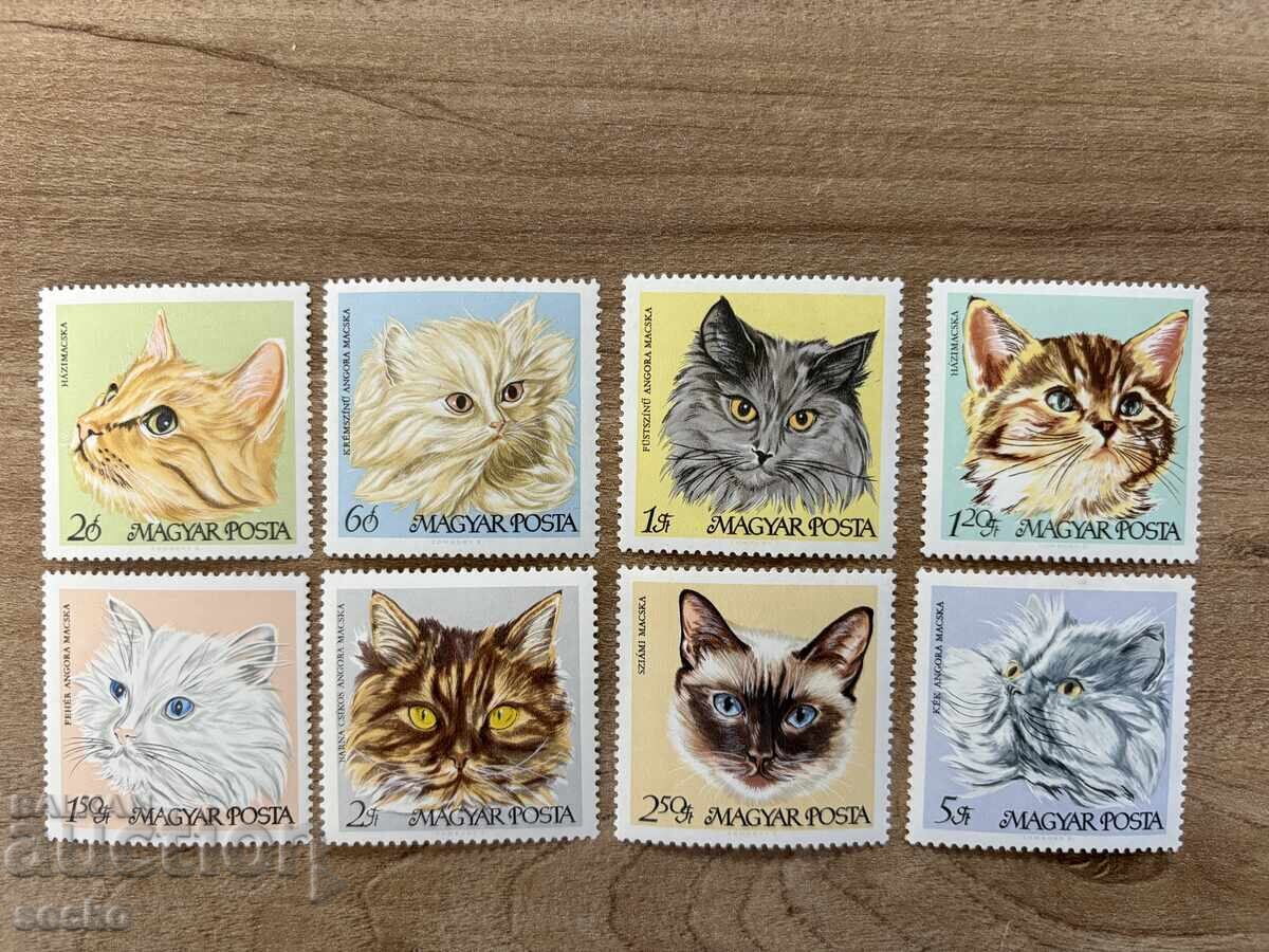 Hungary - Domestic Cats (1968) MNH