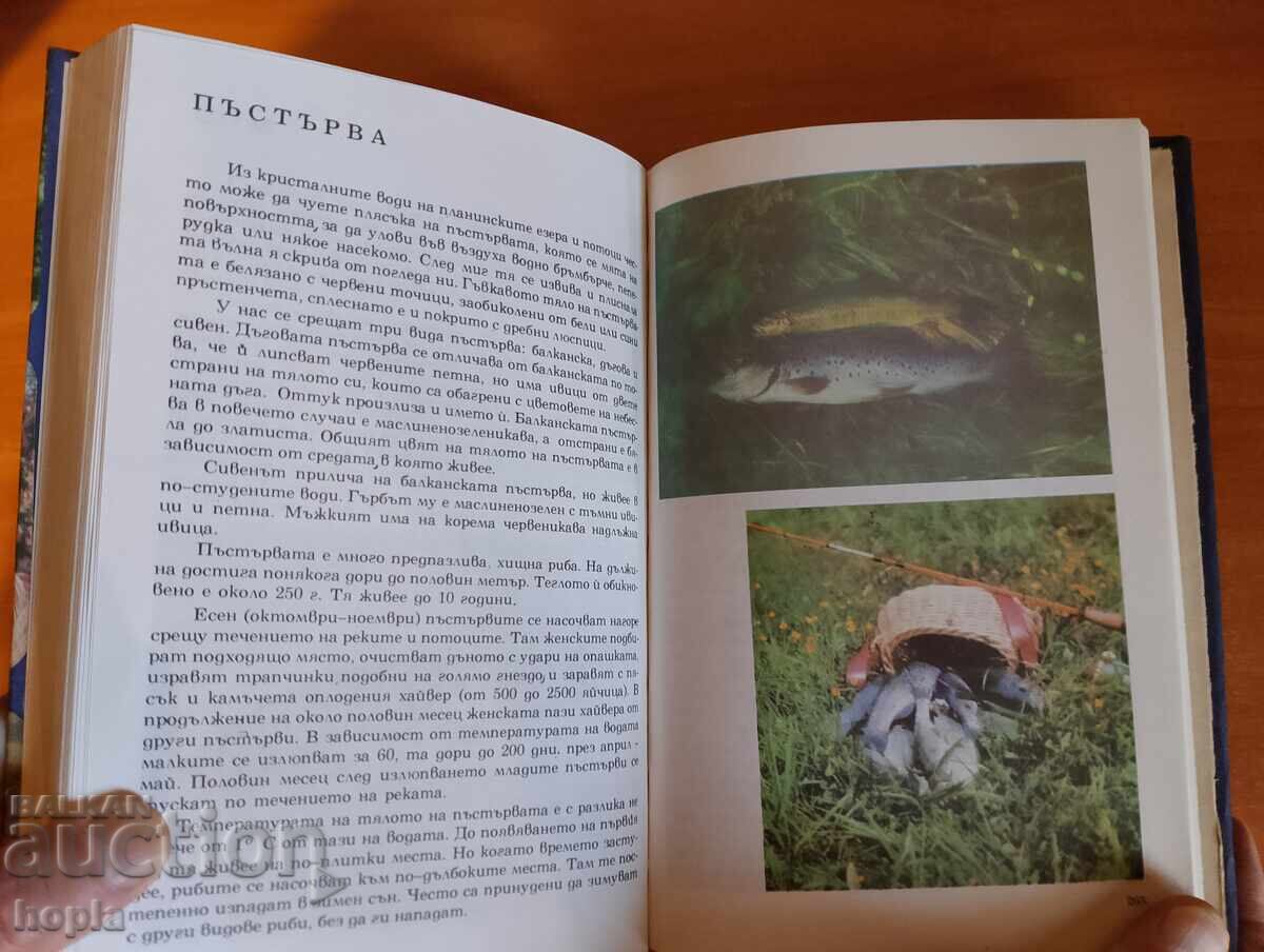 ALBUM DESPRE PLANTE ȘI ANIMALE cu preț 0.89 BGN | € 0.46