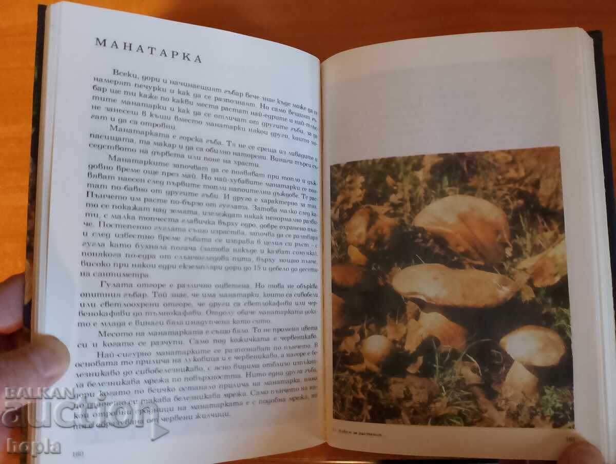 Licitație ALBUM DESPRE PLANTE ȘI ANIMALE