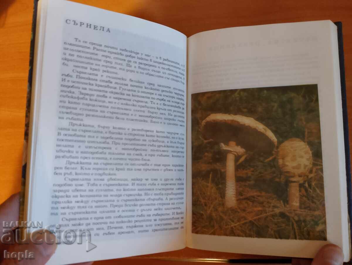 Livrarea ALBUM DESPRE PLANTE ȘI ANIMALE