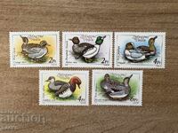 Ουγγαρία - Πάπιες (1988) MNH