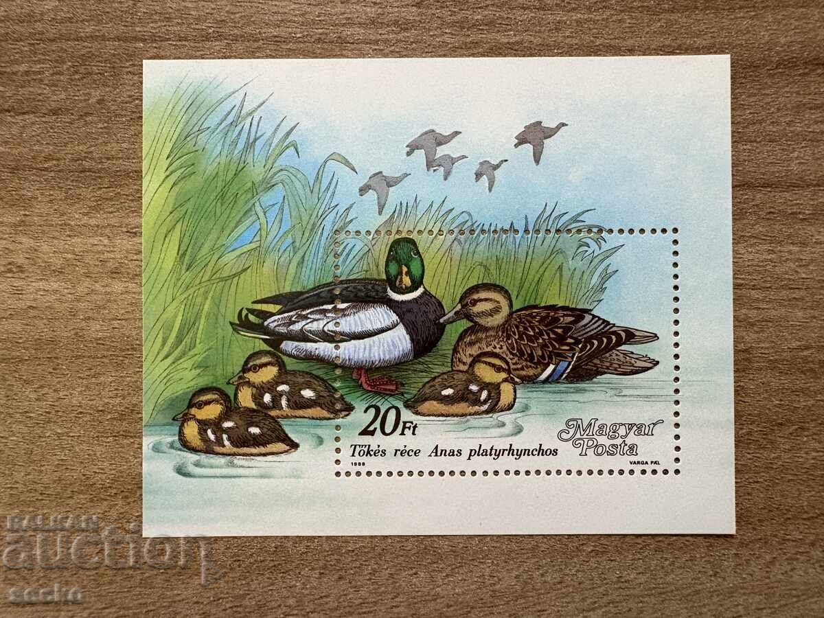 Ουγγαρία - Πάπιες (1988) MNH Ουγγαρία - Πάπιες (1988) MNH