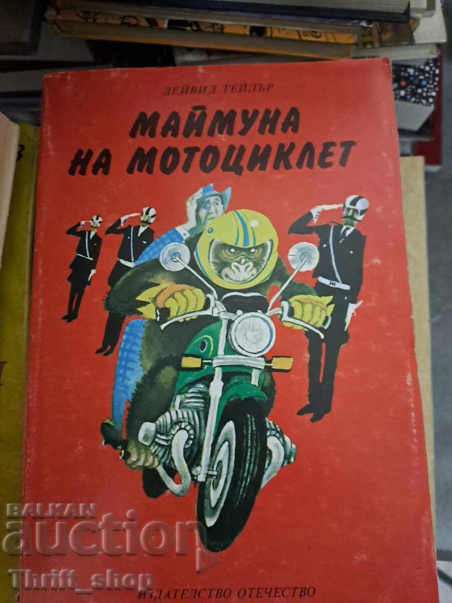 Μαϊμούνα σε μοτοσυκλέτα David Taylor