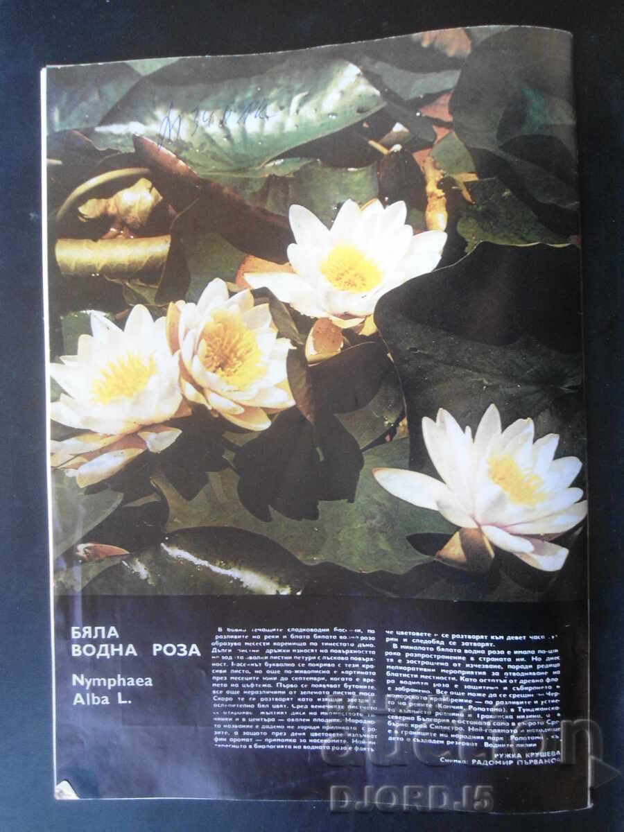 Revista "Turist", Numărul 10 din 1980 - 6 Revista "Turist", Numărul 10 din 1980 - 6