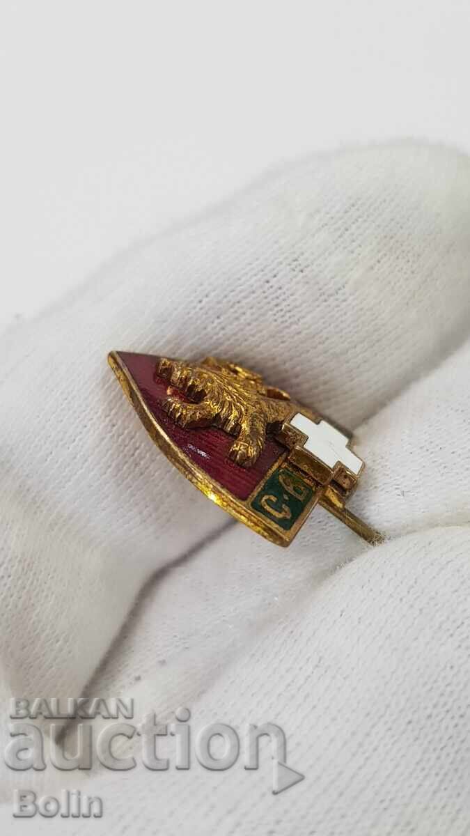 Delivery of Rare Imperial Air Chemical Defense Badge 1st Issue