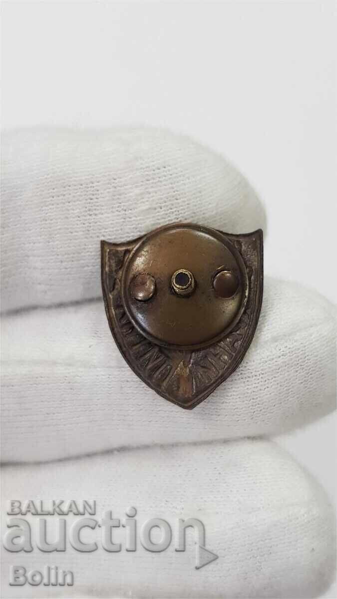 Semn imperial foarte rar Expoziție Alimente și Băuturi I emisie șurub - 5