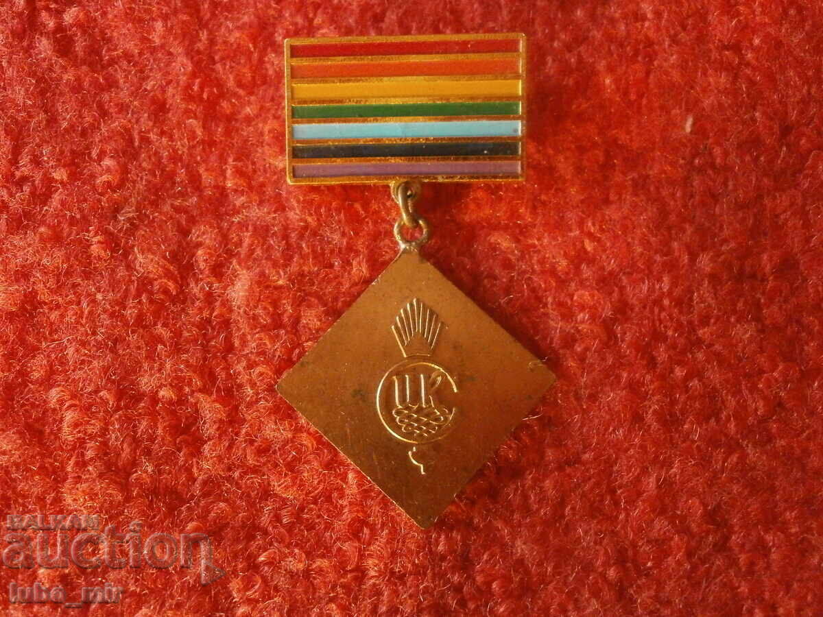 INSIGNĂ DE PIEPT STAR - EXCELENT AL CCS