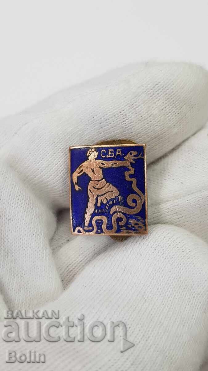 Rare Royal Badge, Bulgarian Pharmacists' Union Pin - 7