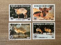 Coasta de Fildeș - Rarieran duiker (1985) MNH