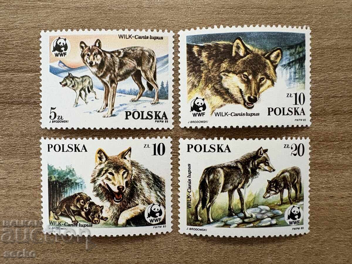 Πολωνία - Προστατευόμενα ζώα - Λύκος (1985) MNH Πολωνία - Προστατευόμενα ζώα - Λύκος (1985) MNH